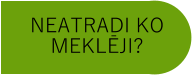 NEATRADI KO MEKLĒJI?